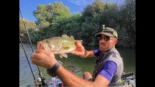 Pesca ao Achigã à Superfície e à Texas 2024 🎣🎣