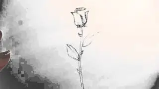How to Draw a Long-Stem Rose