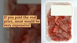 The true cost of meat, poultry and fish