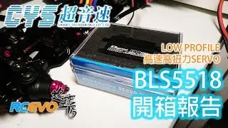 [開箱報告] CYS BLS5518 SERVO