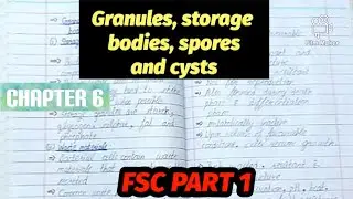 Spores and Cysts| Granules and storage bodies| Biology class 11 chapter 6|PTB| Romeo ki biology