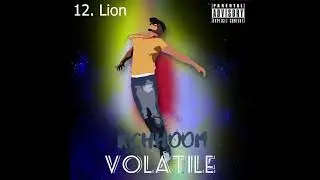 Lion -KChhoom