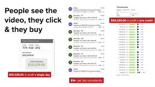 The Affiliate Automation Academy OTO - The Affiliate Automation Academy OTOs