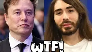 Прав ли Penguinz0 насчет Илона Маска и Трампа?