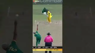 What a drama..Hit-wicket, No ball & Six😯#shorts #trending #viral #cricket #drama