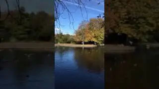 Herbert Park, Dublin
