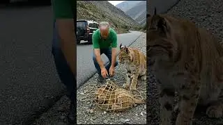 A Kind-Hearted Man rescued Baby Lynx Trapped in Net