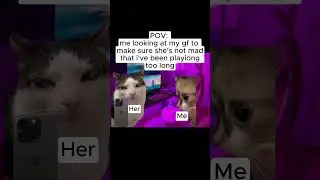 Every gamer boyfriend can relate to this  #cat #gamer #shorts