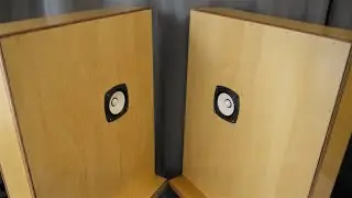 ♪種 半﨑美子 スパイラルバックロードホーン8cmフルレンジスピーカー空気録音 Fostex FE83NV Spiral backload horn full range speaker