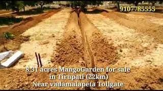 8.50 Acres Mango Garden for sale in Tirupati (22km) , Near Vadamalapeta tollgate || 9107785555