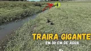 TRAIRA GIGANTE NO MEIO DO MATO, PESCARIA CAIPIRA NA VARINHA DE BAMBU