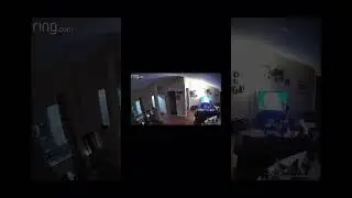 Ring camera captures &ldquo;Grey Alien&rdquo; on footage, 6/19/2023