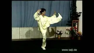 Tai Chi Chuan Yang style: form 88 (stile Yang: la forma 88)
