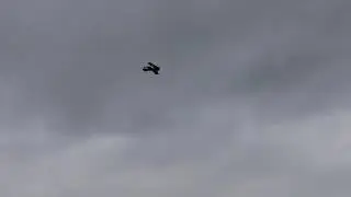 Ace Rc Ultimate Bipe