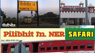 Pilibhit Jn. of NER | Train No. 15010 Izzatnagar Gorakhpur arrival n Departure | माला और मैलानी जंगल