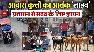 Sambhal में Stray Dogs का आतंक, Dog Attack में कई लोग घायल