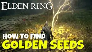 Elden Ring Golden Seeds - How to Find & Use Them