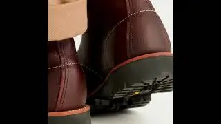 RW 8146
