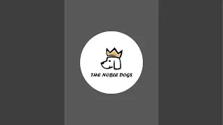The Noble Dogs is live!