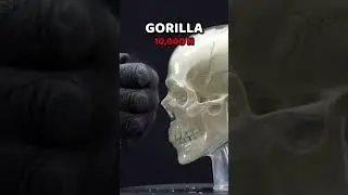 Different punches to the face!!! #memes #funny