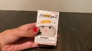 Ham &lsquo;n egg blind box #unboxing #asmr #blindbox #hamster