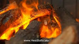 DIMPLEX MAPLETON - pastatomas vandens garų židinys | Heat Baltic