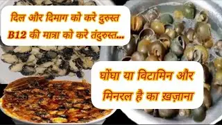 Ghongha recipe|snail cooking|snail dish|tribal food#swad ke sath dil or dimag bhi kare tandrust🌧️🐌 