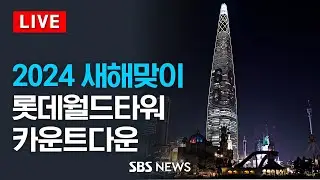 롯데월드타워 신년 카운트다운 행사 / SBS