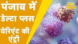 Corona Virus के खतरनाक वेरिएंट Delta Plus की पंजाब में एंट्री | Punjab Tak