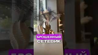 Выбрала компанию. А наставника выбрать забыла?! #СетевойБизнес2025 #MLMБезСпама #наставник  #батэль