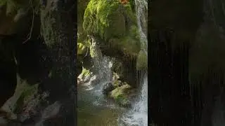 Romania  - Idei de vacante