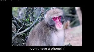 Protect Habitat, Save the Planet Art Call - Promo Video 1