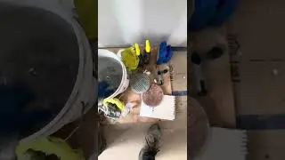 Cement Zia Tile grout stain fix!