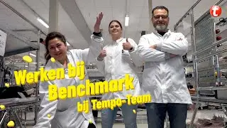 Werken bij Benchmark | Operator | Tempo-Team