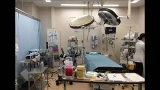 SE Chapter of SCCM Post Arrest TTM with audio 2-9-2017