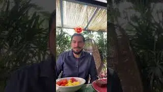 TikTok Live vom 15.03.2024