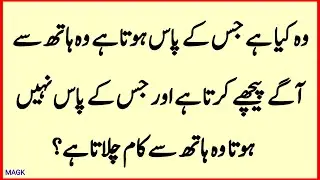 Paheliyan Common Sense Question Answers || Urdu GK Sawal Jawab and Riddles Puzzles #paheli #quiz 