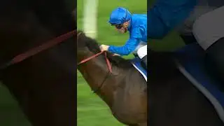 The FIVE famous winners of the G1 Winx Stakes! 🤩