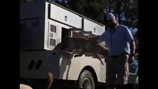 Blue Cypress Kennels - Hold Conditioning Part 3