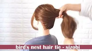 birds nest hair clip！