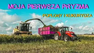 Kiszonka z Poplonów