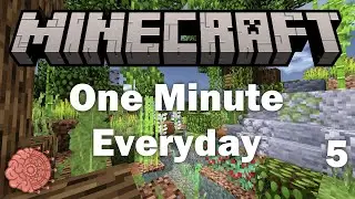 Playing Minecraft for 1 Minute Everyday - Day 5