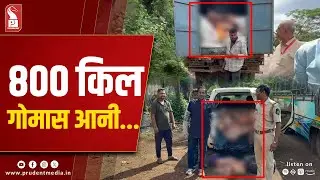 Vehicle Repeatedly Caught Transporting Beef in Goa; One Held at Mollem
