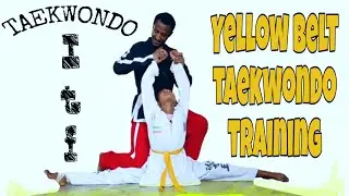 Yellow Belt Taekwondo training