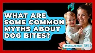 What Are Some Common Myths About Dog Bites? - Raising A Toddler