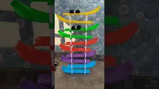 Racer Ramp Ready,Set, Race to Learn #shorts