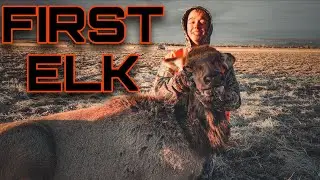 COW ELK HUNT UTAH 2024 | ELK HUNTING | FIRST ELK