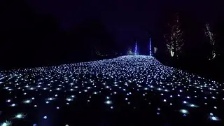 Sea of Light: Blenheim Palace