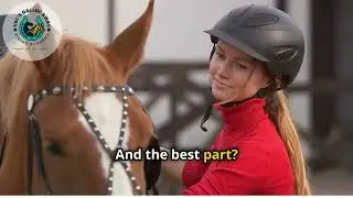 Best Horse Riding Course in Bangalore | Equestrian Training & Riding Lessons