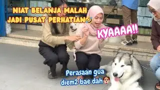 ANABUL DIAJAK BELANJA KE TOKO PLASTIK OPP BERLIAN 90. BIKIN HEBOH PENGUNJUNG‼️